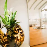 شقة Penthouse Am Dom- Altstadt In 200 M- 4 Dachterrassen, Stilvoll Und Ruhig, 24-7-self Check-in Fuer Bis Zu 6 Personen