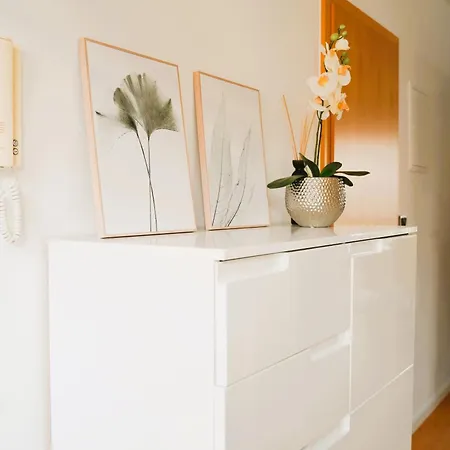 Penthouse Am Dom- Altstadt In 200 M- 4 Dachterrassen, Stilvoll Und Ruhig, 24-7-self Check-in Fuer Bis Zu 6 Personen *