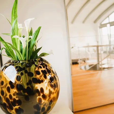 Apartmán Penthouse Am Dom- Altstadt In 200 M- 4 Dachterrassen, Stilvoll Und Ruhig, 24-7-self Check-in Fuer Bis Zu 6 Personen