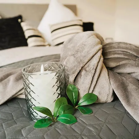 Penthouse Am Dom- Altstadt In 200 M- 4 Dachterrassen, Stilvoll Und Ruhig, 24-7-self Check-in Fuer Bis Zu 6 Personen Lejlighed Paderborn