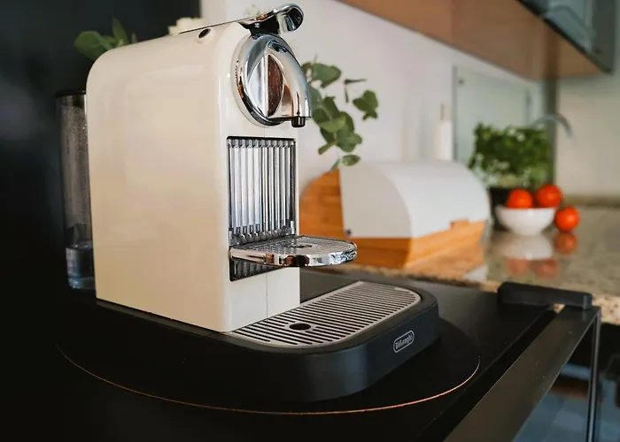 Penthouse Am Dom- Altstadt In 200 M- 4 Dachterrassen, Stilvoll Und Ruhig, 24-7-self Check-in Fuer Bis Zu 6 Personen * Paderborn